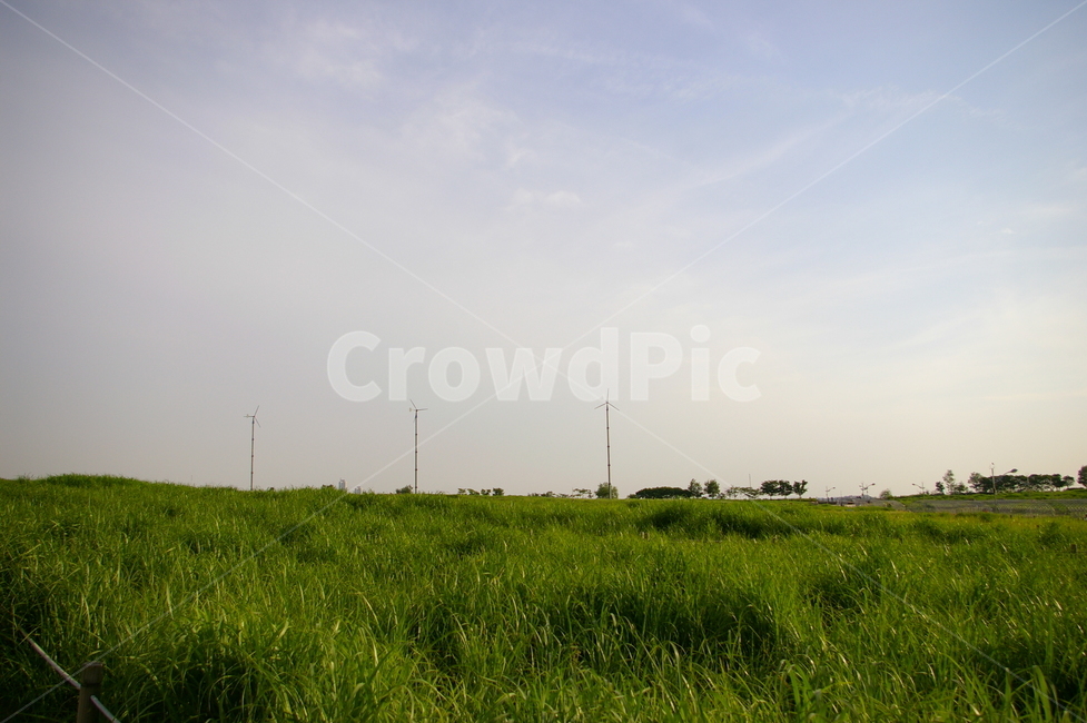 하늘공원,풍경,서울,field,들,outdoors,옥외,nature,자연,자연,풍경,nature,landscape