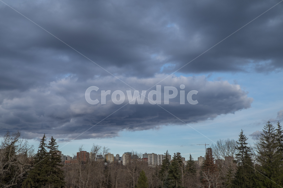 캐나다,canada,에드먼튼,edmonton,알버타,alberta,겨울,쌀쌀,겨울풍경,도시,풍경,city,landscape,weather,날씨,nature,자연,tree,나무,plant,식물,fir,전나무,outdoors,옥외,sky,하늘,cloud,구름,cumulus,적운