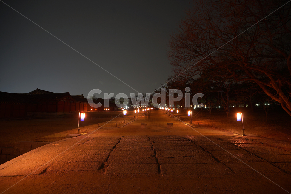 창경궁,고궁,야경,창경궁야경,장노출,야경,밤,풍경,nightscape,night,landscape,road,도로,asphalt,아스팔트