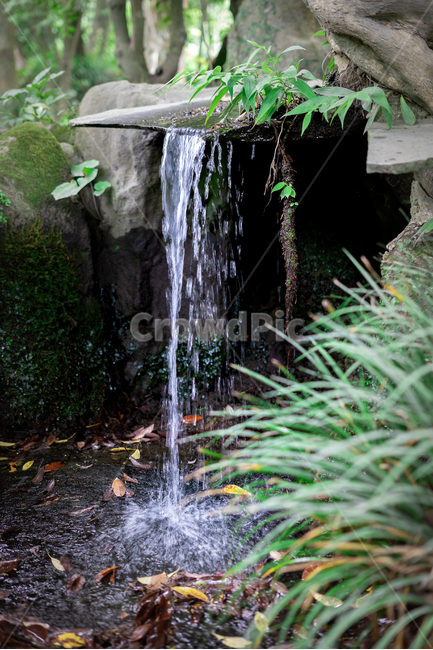 물줄기,숲속,이끼,자연,계곡,풍경,돌,숲,물,나무,여름,계절,summer,season,자연,풍경,nature,landscape,water,outdoors,옥외,river,강