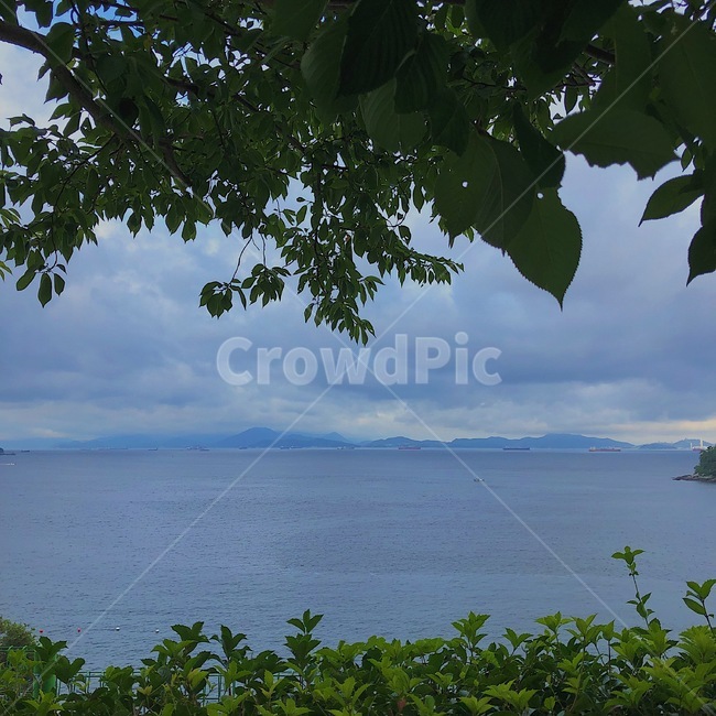 하늘,나무,바다,sky,sea