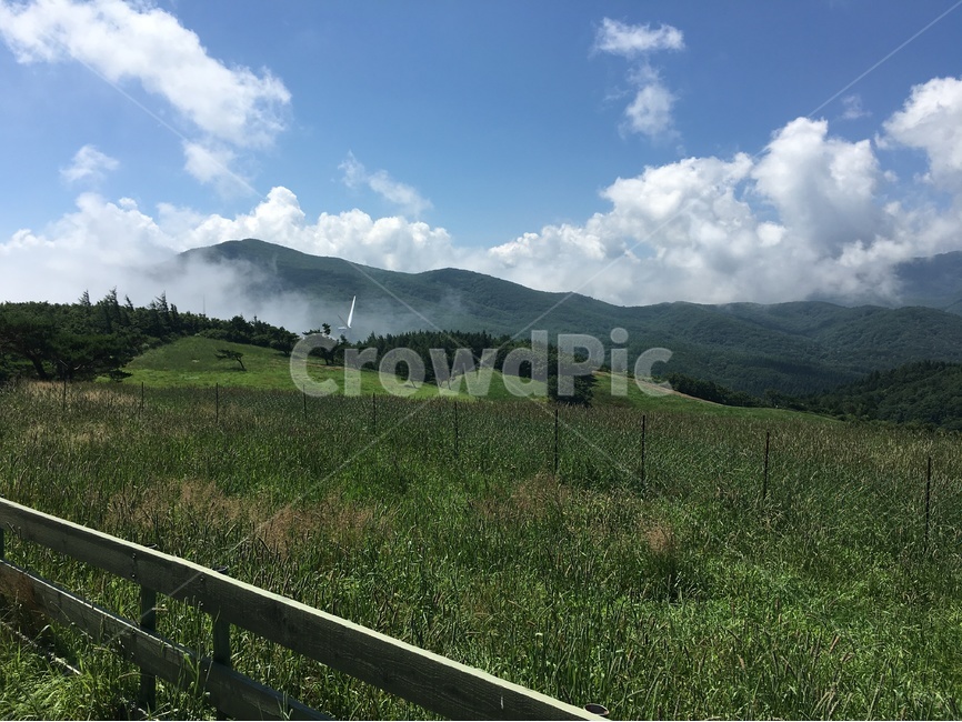 하늘,목장,여름,초원,울타리,자연,풍경,nature,landscape,outdoors,옥외