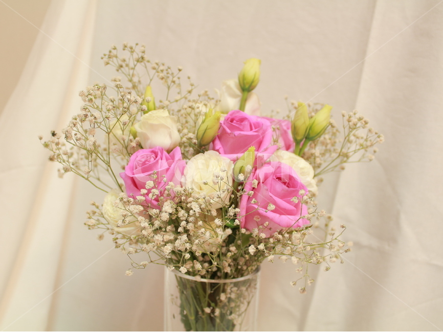 꽃,장미,꽃봉우리,스튜디오,정물,사물,오브젝트,안개꽃,꽃,flower,실내용화초,화분,화초,house plant