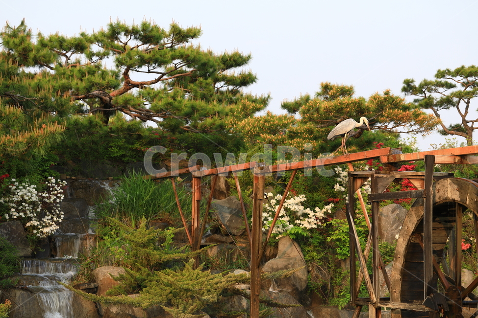 공원,새,자연,나무,물레방아,park,bird,natural,nature,tree,인공폭포,자연,풍경,nature,landscape,동물,animal,조류,새,birds