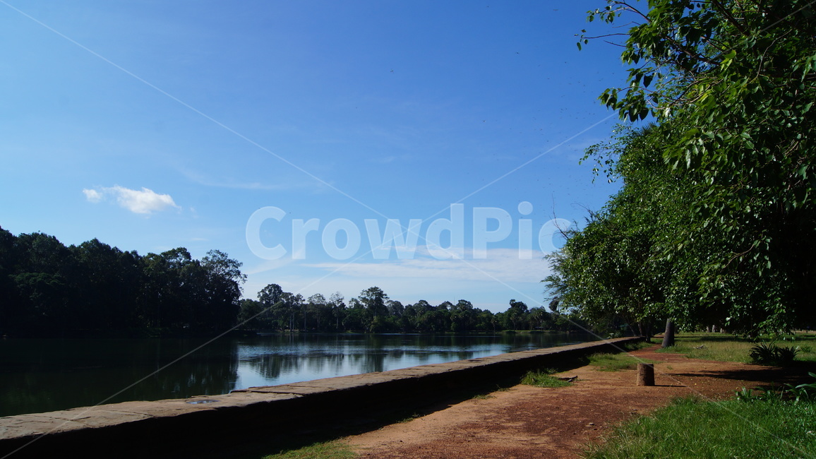 trees,tree,forest,cambodia,sky,blue,cloud,road,park,garden,river,landscape,rock,green,nature,sun,sunny,sunnyday,나무,하늘,공원,숲,캄보디아,강,풍경,자연,잔디,해,풀