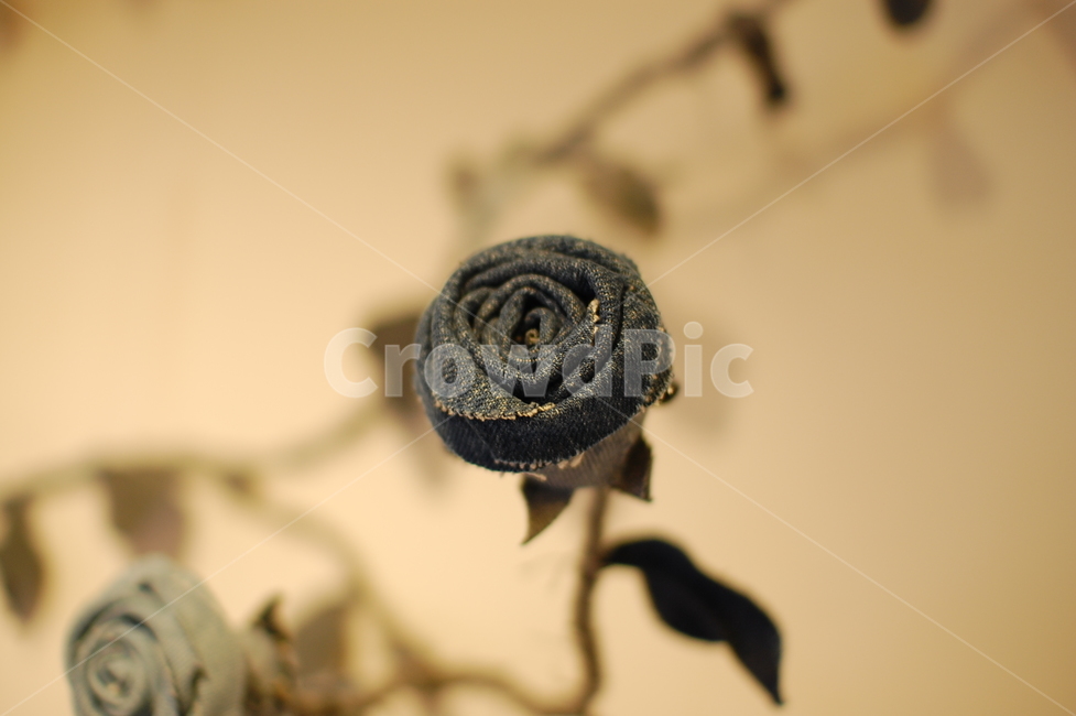 꽃,장미,조화,rose,artificialflower,카페