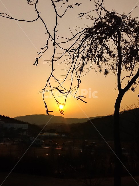 석양,일몰,태양,옥외,붉은하늘,하늘,sunset,outdoors,sunlight,황혼,경치,sky,redsky,nature,자연,풍경,nature,landscape