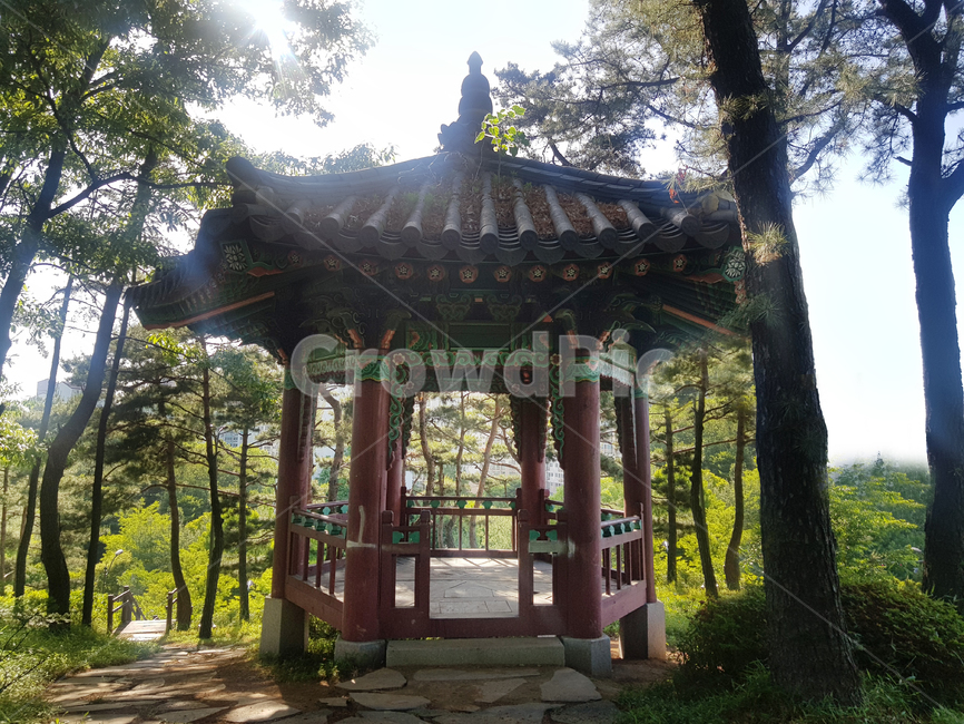정자,산,전망대,한국정자,쉼터,공원,하늘,나무,동네정자,산정자