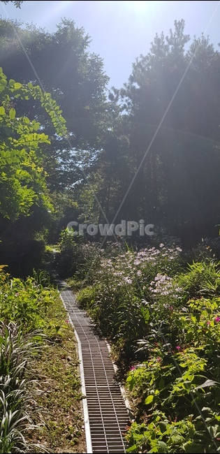 비밀정원,신비로운,산책로,자연,산책,꽃길,꽃,nature,flower,walkingpath,garden,자연,풍경,nature,landscape,building,건물