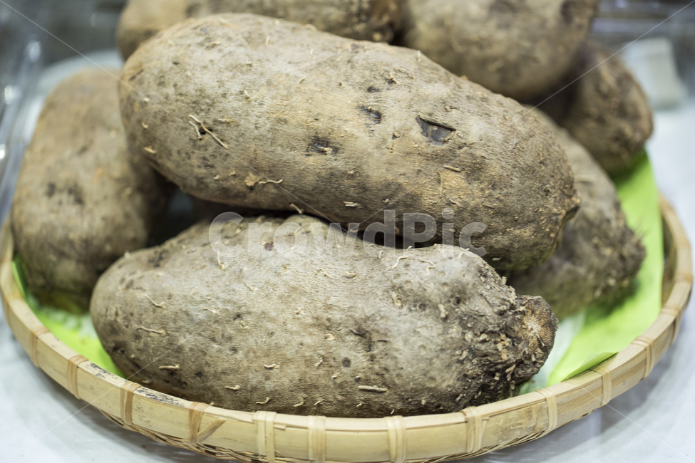 마,천마,뿌리,점액질,점액,뮤신,농산물,건강,웰빙,식재료,식품,음식,건강식,다이어트,음식,식재료,요리,food,cook,meal,dishes,food reserves