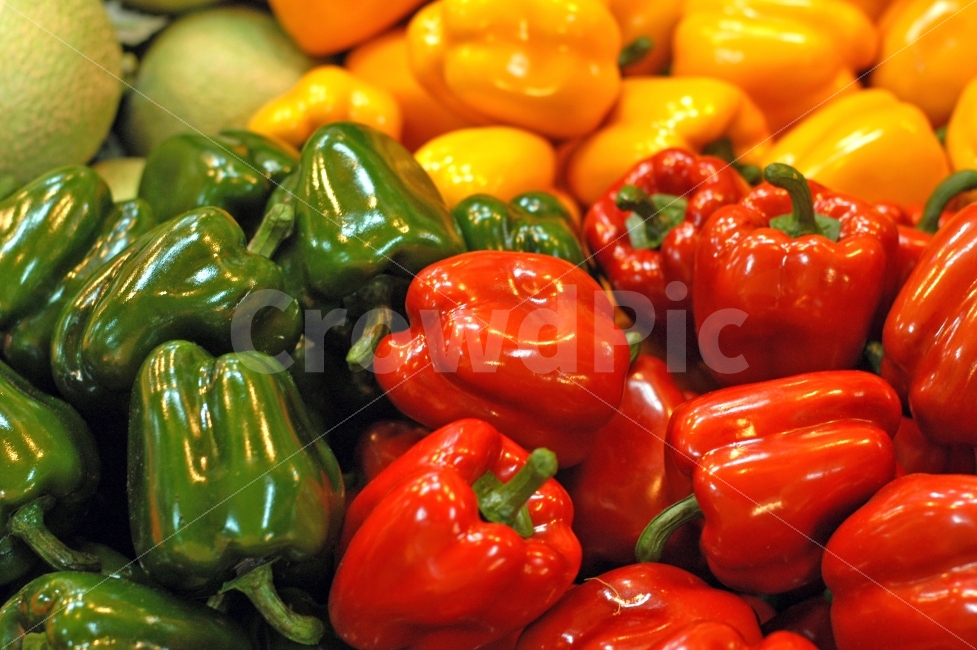 파프리카,피망,야채,채소,농산물,농작물,빨강,초록,노랑,건강,웰빙,식재료,음식,식재료,요리,food,cook,meal,dishes,food reserves,채소,야채,vegetables
