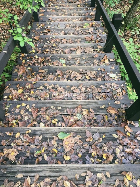 가을,단풍,나무잎,계단,풍경,색갈,단풍잎,잎,가을,계절,fall,autumn,season,dirt road,흙길,road,도로,gravel,자갈,railway,철도,rail,레일,transportation,교통,train track,기찻길