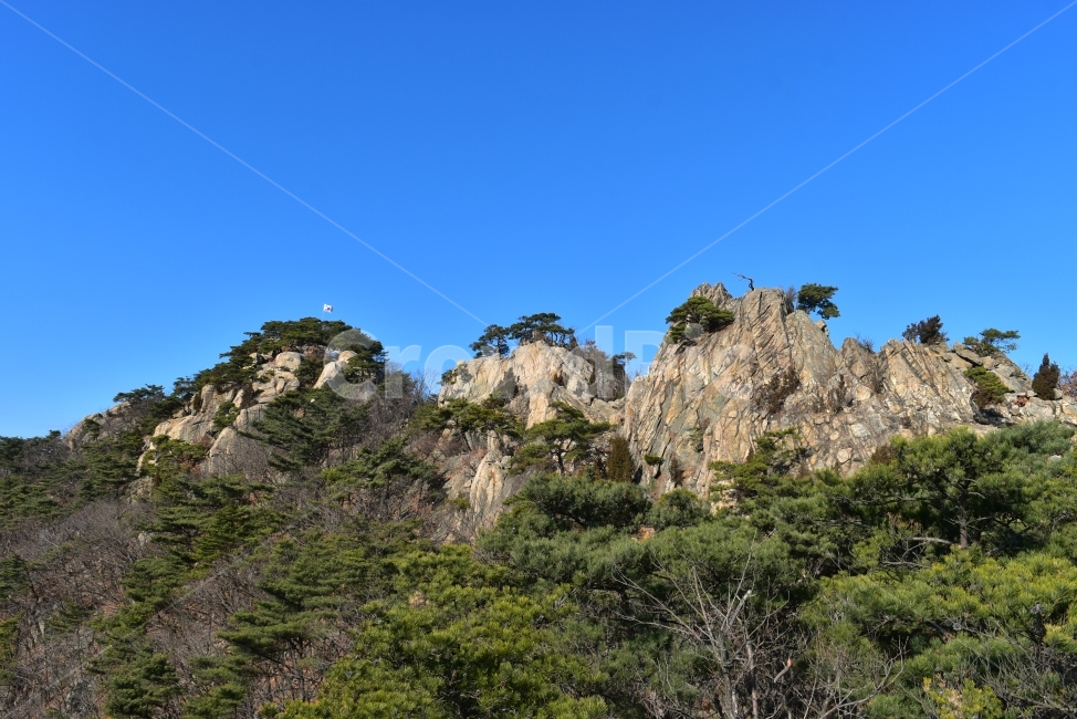 관악산,풍경,겨울,자연,눈,스포츠,등산,산행,nature,snow,겨울풍경,느낌,아름다운,신비로운,경이로운,기암,바위,암봉,암릉,다큐,필,힐링,명산,landscape,winter,season,트레킹,100대명산,인기명산,조망,전망,정부청사,6봉,수목원능선,바윗길,암릉길,명품송,소나무,자연,풍경,nature,landscape,한국자연풍경,한국자연경관,korea nature landscape,outdoors,옥외,cliff,낭떠러지