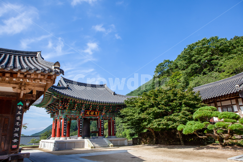 건축,풍경,구례,화엄사,지리산,기와,처마,한옥,절,불교,나무,숲,산,단청,전통,천년고찰,문화,유산,유물,유적,종교,종,목조,목조건물,building,건물,architecture,건축물,temple,산사,사찰,고찰,한국전통,한국문화,korean traditional,korean culture,종교,신앙,religion,belief,faith,건축물,건물외관,exterior,building,structure,architecture,construction