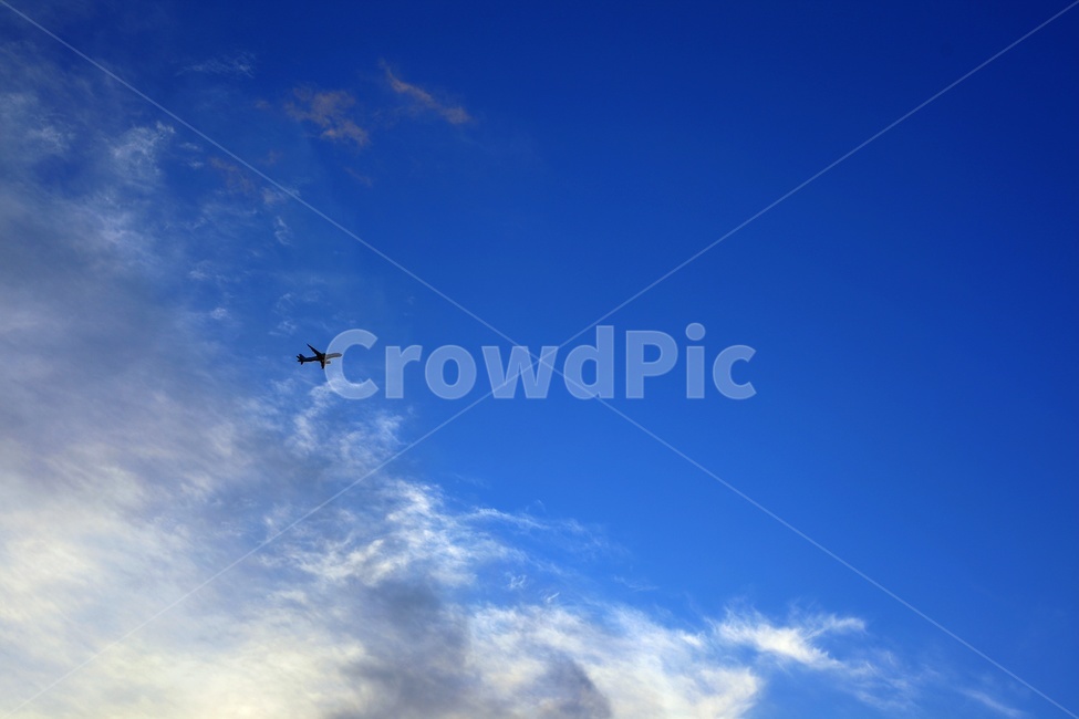 하늘,파랑,비행기,구름,청량,자연,풍경,nature,landscape,flying,나는,bird,새,animal,동물,aircraft,항공기,airplane,transportation,교통,vehicle,차량,outdoors,옥외