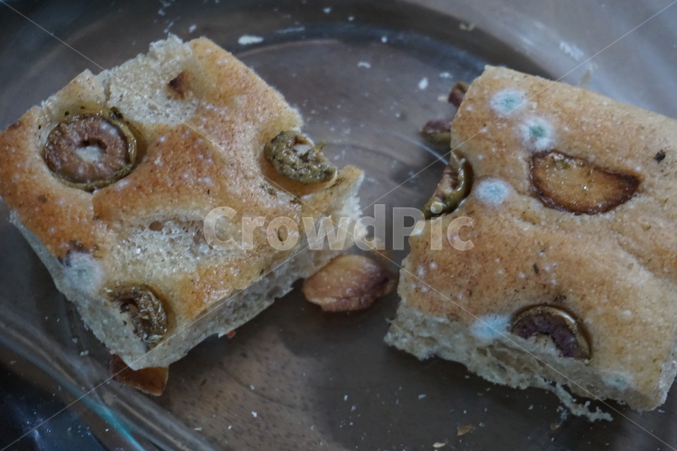 식중독,곰팡이,음식곰팡이,빵,빵곰팡이,mold,음식,식재료,요리,food,cook,meal,dishes,food reserves,빵,bread,디저트,간식,후식,dessert,snack