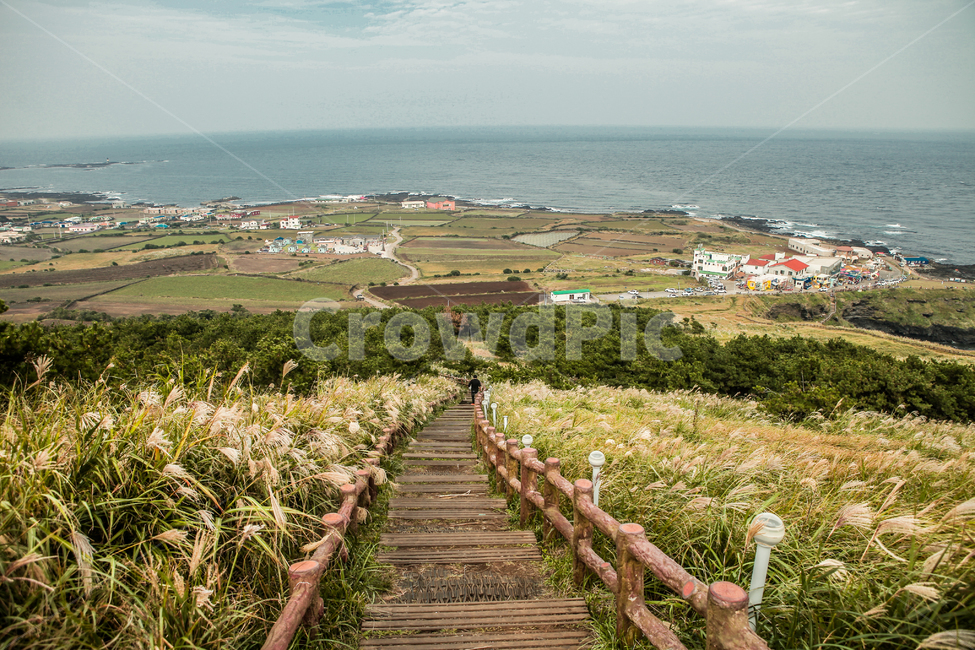 자연,풍경,바다,picture,landscape,계단,갈대,수평선,평지,오름,시골,마을,풍경,landscape,country,rural,town