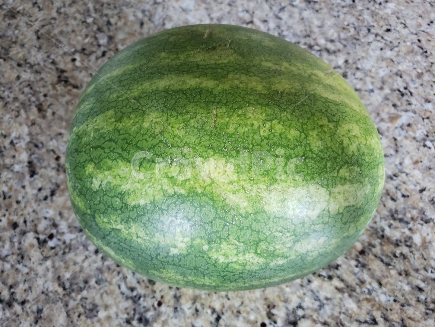 수박,watermelon,과일,음식,초록색,여름