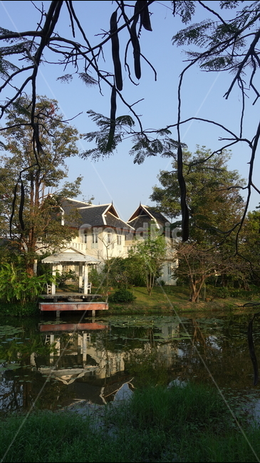물,water,반영,reflection,house,집,pond,outdoors,옥외,nature,자연,못,연못,주택