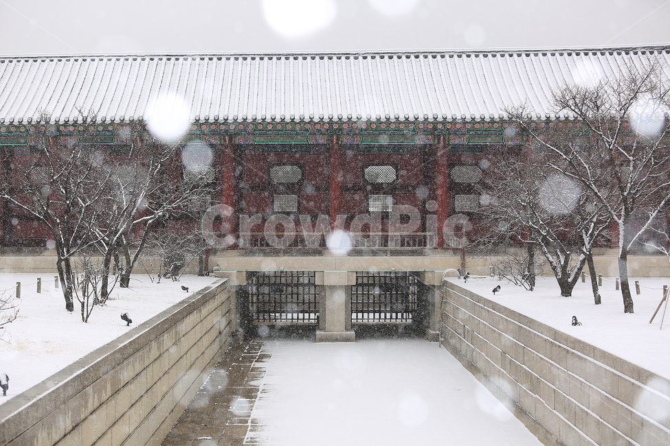 겨울,눈,설경,경복궁,궁,한국,전통,winter,snow,palace,korea,tradition,겨울,계절,winter,season,한국전통,한국문화,korean traditional,korean culture,랜드마크,landmark,tourist attraction,한국랜드마크,한국관광지,한국명소,korea landmark,korea tourist attraction,건축물,건물외관,exterior,building,structure,architecture,construction