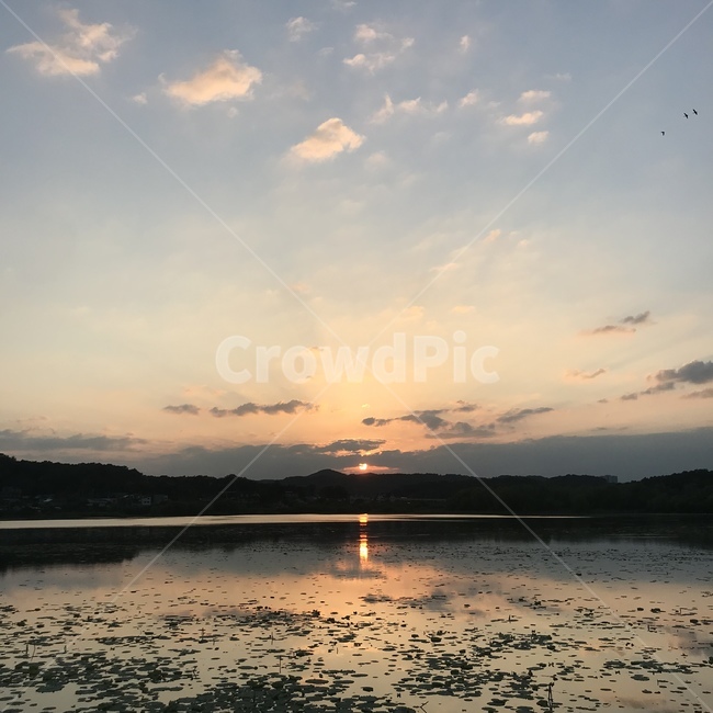 노을,해질녘,공원,감성,풍경,sunset,저녁하늘,노을빛,주황색