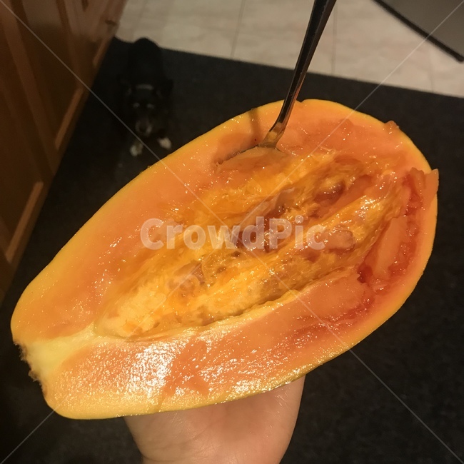 파파야,과일,papaya,생식,과일식,음식,식재료,요리,food,cook,meal,dishes,food reserves,과일,열매,fruit
