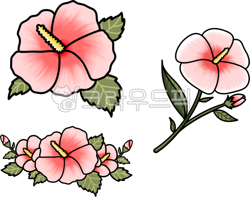 무궁화,꽃,대한민국,한국,무궁화꽃,우리나라꽃,꽃잎,나뭇잎,무궁화장식,플라워,현충일,호국보훈의달,육이오,625,광복절,식물,삼일절,일러스트,꽃장식