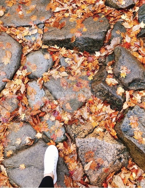 가을,낙엽,돌,발,떨어진낙엽,신발,바닥,돌위에발,주황색,자연,가을,계절,fall,autumn,season,leaf,잎,plant,식물,tree,나무
