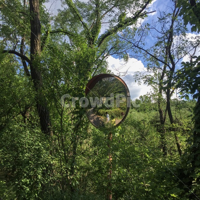 산,등산,숲속,자연,나무,풀,파릇파릇,초록,산속