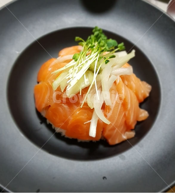 food,음식,덮밥,연어,식사,저녁식사,요리,연어덮밥,생선,밥,연어요리,생선요리