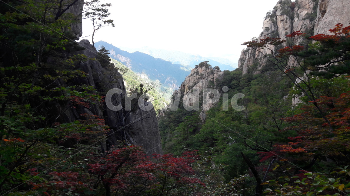 설악산,용아장성,암벽,가을,단풍,가을,계절,fall,autumn,season,자연,풍경,nature,landscape,한국자연풍경,한국자연경관,korea nature landscape,outdoors,옥외,cliff,낭떠러지,mountain,산