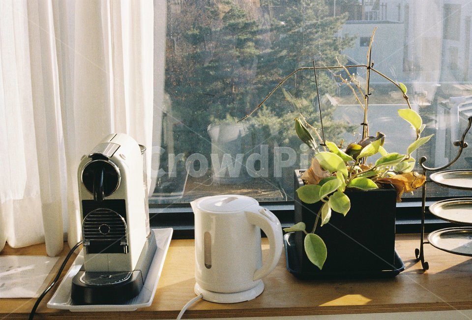 장식,식물,plant,vase,coffee,커피,여유,오후,주방,창문,실내,전기포트,커피머신,분위기,감성사진