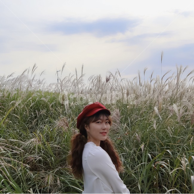 하늘공원,갈대,억새,가을,풍경,하늘,가을하늘,가을,계절,fall,autumn,season,사람,인물,인간,human,person,여성,여자,woman,female,lady,grass,잔디,plant,식물