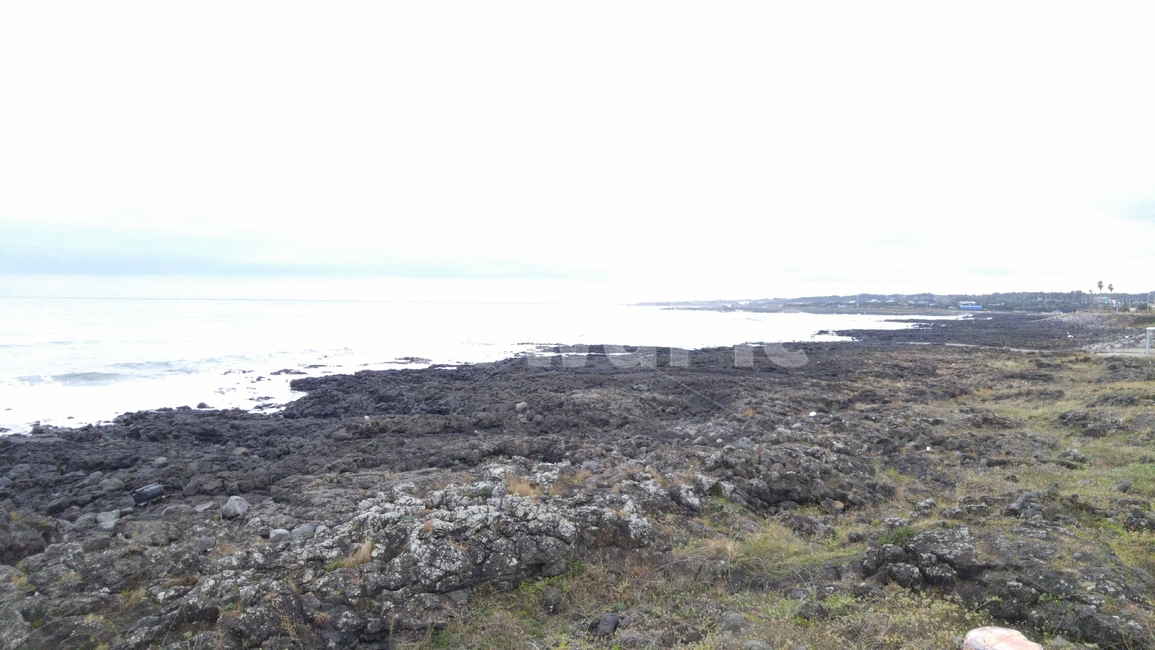 제주도,바다,해안,해변,바닷가,바다가,sea,jeju,land,옥외,땅,파도,제주도,jeju,jeju island
