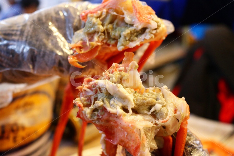 홍게,꽃게,대게,살수율,대게찜,음식,식재료,요리,food,cook,meal,dishes,food reserves,수산물,해산물,fishery products,seafood