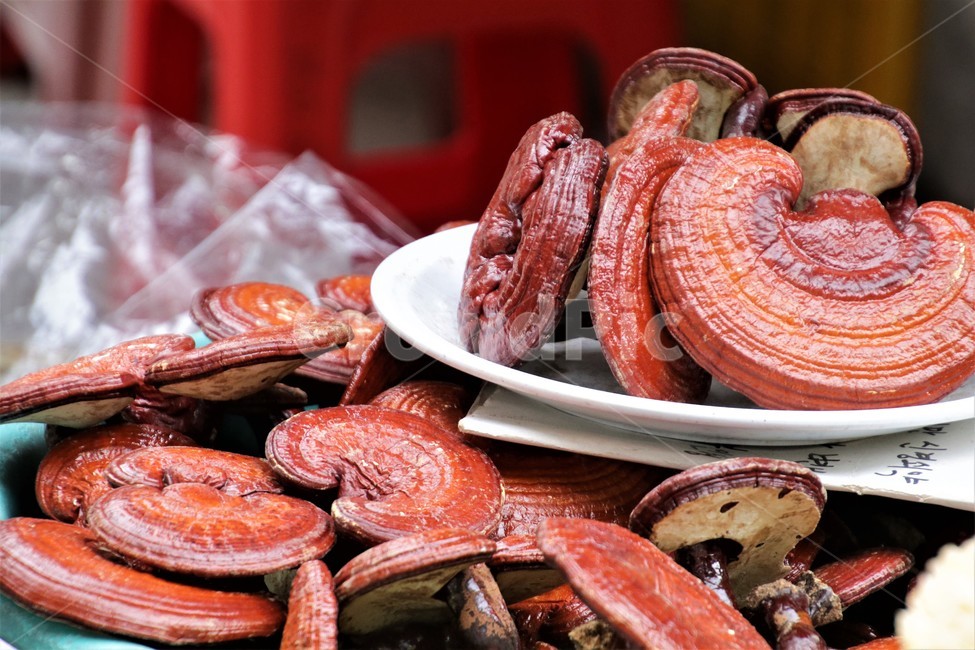 Reishi mushroom benefits,Polish,fanshaped mushroom,reishi mushroom,dried mushrooms,mushroom,street vendor