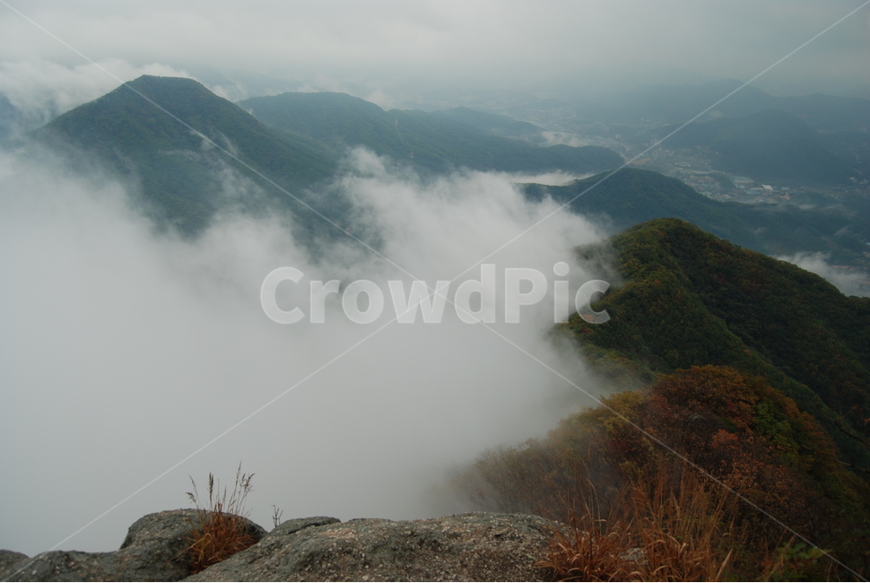 축령산,가을,안개,휴양림,명산,자연,풍경,nature,landscape,한국자연풍경,한국자연경관,korea nature landscape,outdoors,옥외,mountain,산