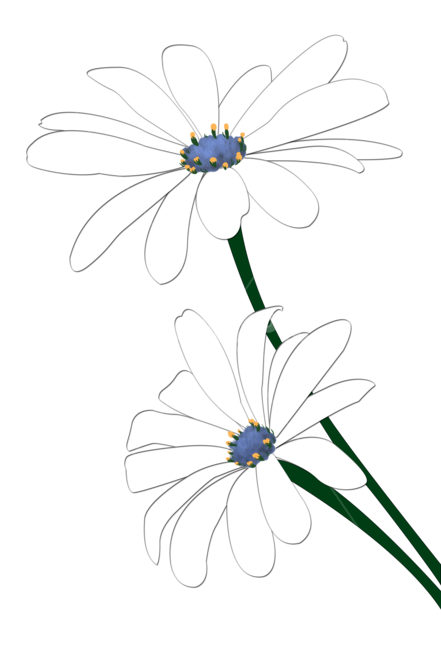 꽃,일러스트,flower,식물,자연,illustration,graphic,그래픽,누끼,ai,디자인소스,nature,계절,white,자연일러스트