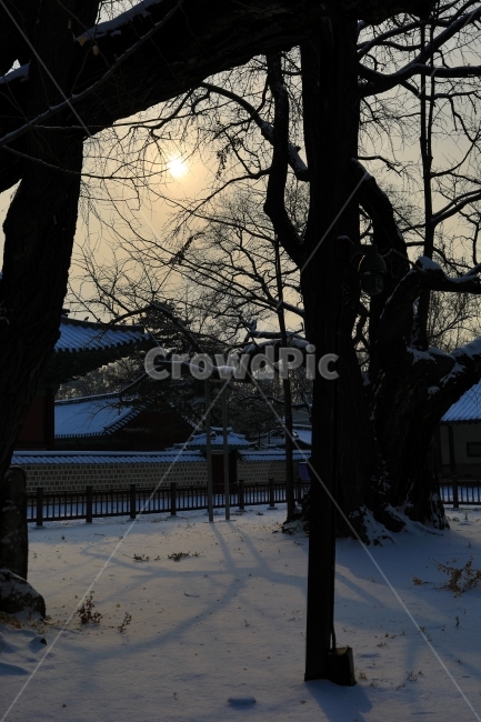 겨울,눈,한옥,명륜당,노을,빛,태양,전통,winter,snow,traditional,겨울,계절,winter,season,한국전통,한국문화,korean traditional,korean culture,랜드마크,landmark,tourist attraction,한국랜드마크,한국관광지,한국명소,korea landmark,korea tourist attraction