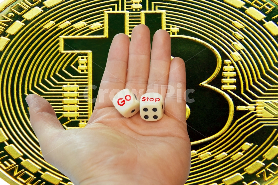 speculation,execution,invest,circuit breaker,dice,go,speculative forces,future currency,hard fork,virtual currency,stop loss,4th industrial revolution,stop,Bithumb,blockchain,skyrocketing,slump,exchange,hardfork,bitcoin