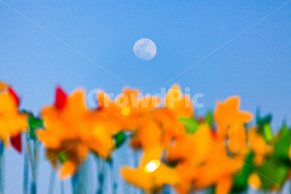 달,바람개비,바람의언덕,색깔,바람,공원