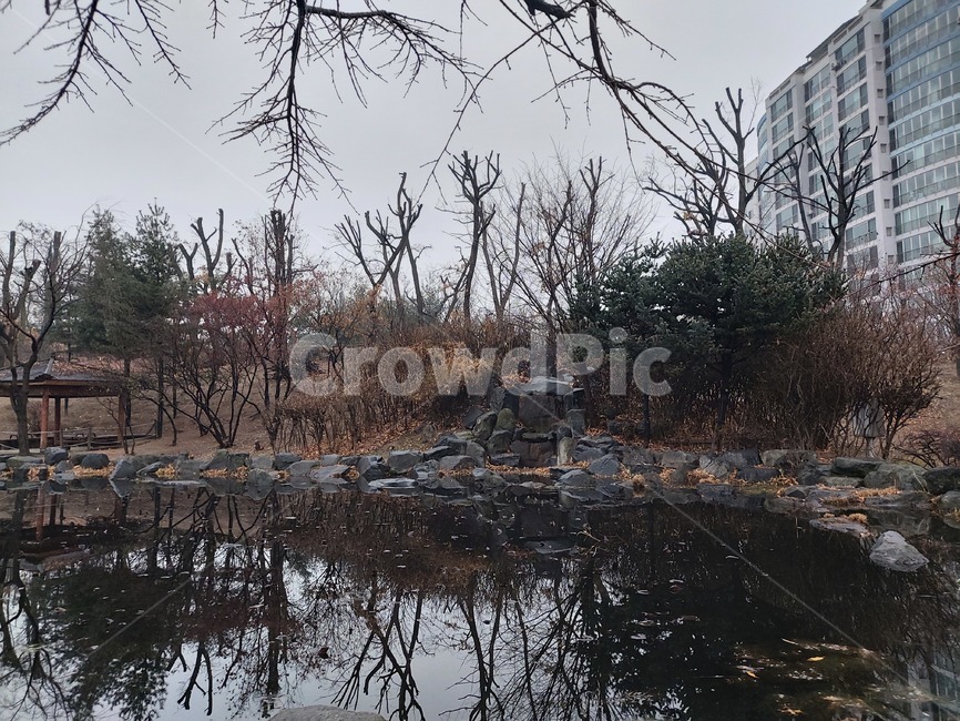 nature,자연,outdoors,옥외,water,물,연못,흐린날,정자,쉼터