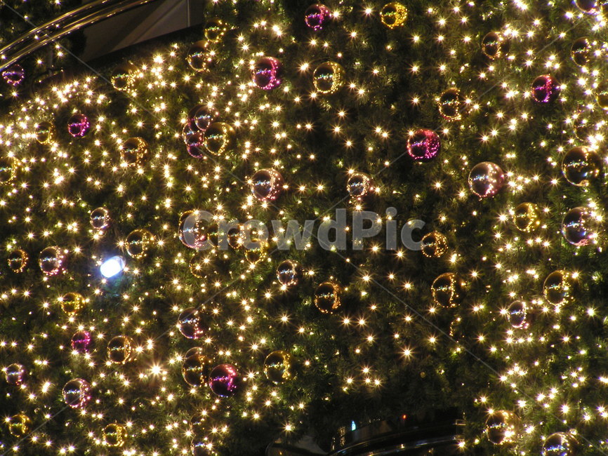 전구,조명,크리스마스,빛,light,장식,메리크리스마스,성탄절,merry christmas