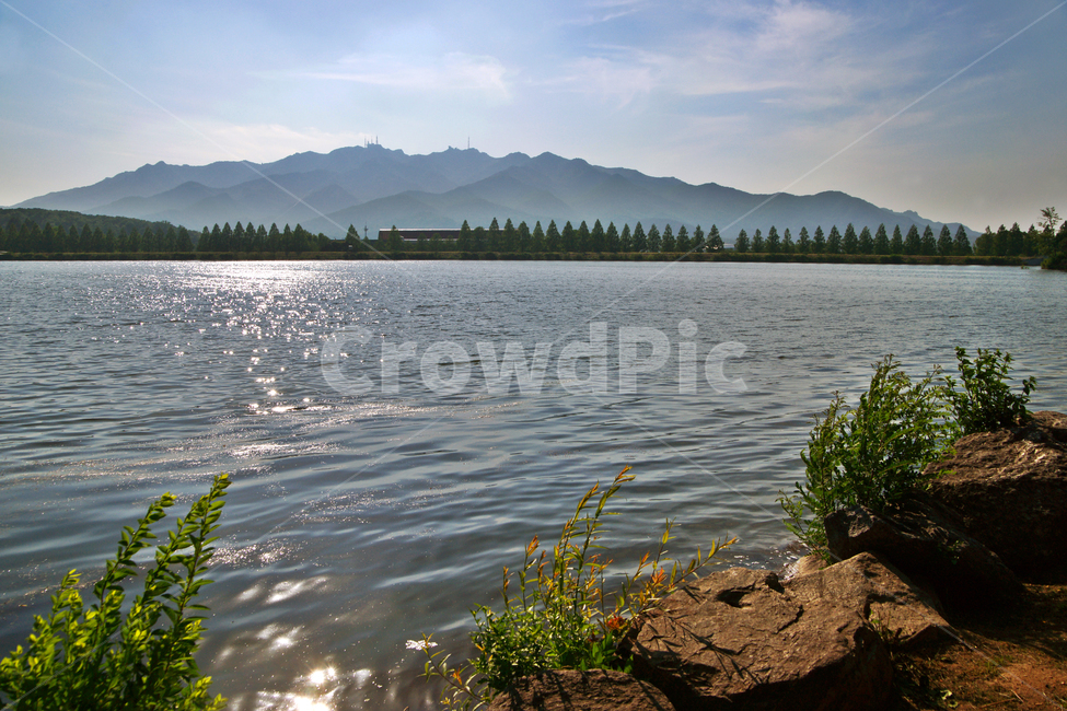 과천저수지,과천대공원,호수,관악산,과천,물결,자연,풍경,nature,landscape,water,물,outdoors,옥외