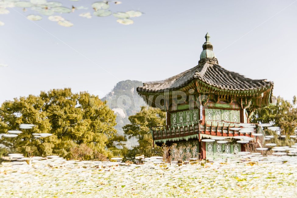 반영,기와,전통,풍경,선,한국전통,한국문화,korean traditional,korean culture,랜드마크,landmark,tourist attraction,한국랜드마크,한국관광지,한국명소,korea landmark,korea tourist attraction