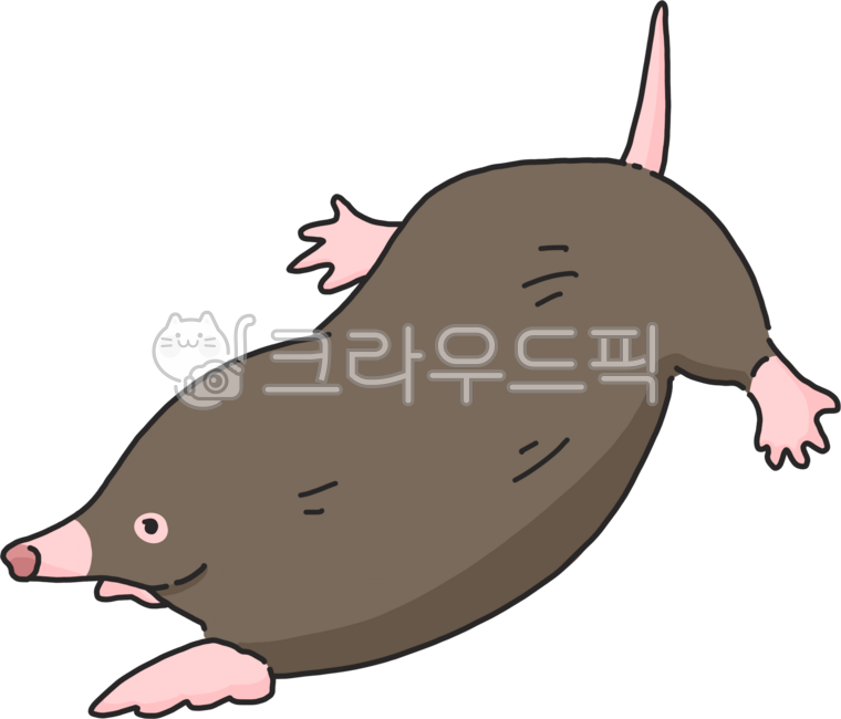 Mole,mole illustration,mole drawing,mole png,mole illustration png,mole drawing png,ground,underground,animal,animal drawing,animal illustration,animal png,animal illustration png,harmful animal,cute mole,mole,brown,brown