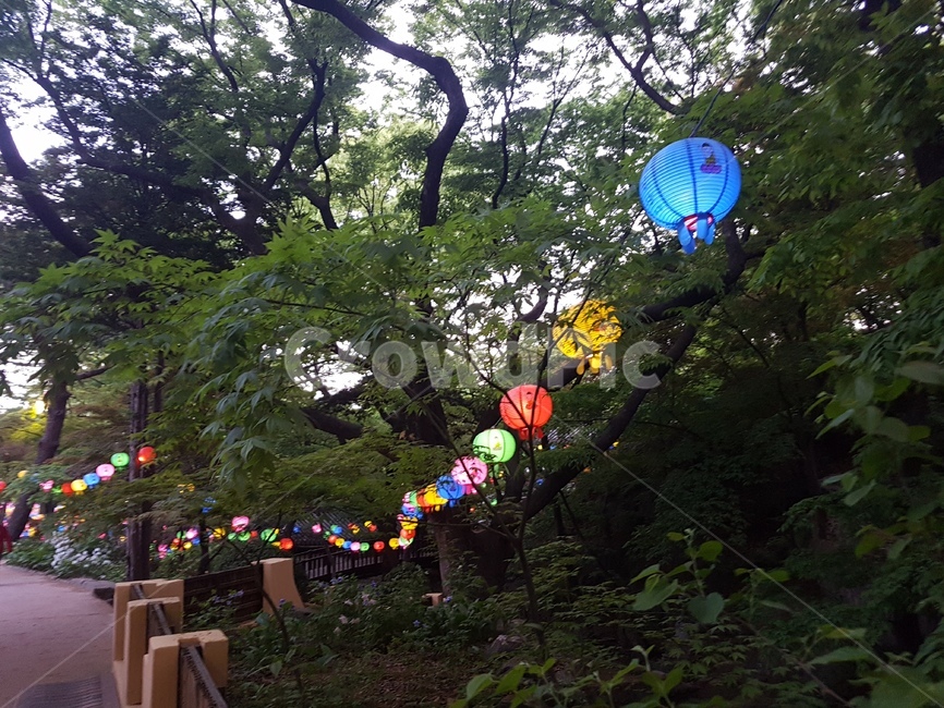 연등,길상사,초파일,절,석가탄신일,부처님