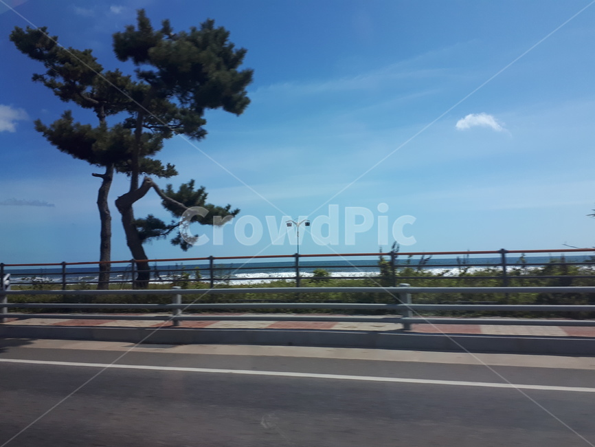 도로위,나무,구름,하늘,도로,자연,풍경,nature,landscape,road,freeway,고속 도로,asphalt,아스팔트