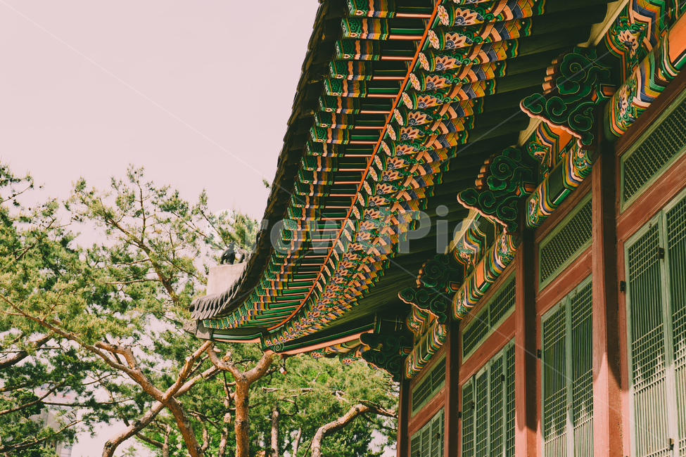 한국,전통,한옥,자연,오래된,korea,asia,traditional,old,nature,house,castle,dynasty,한국전통,한국문화,korean traditional,korean culture,건축물,건물외관,exterior,building,structure,architecture,construction