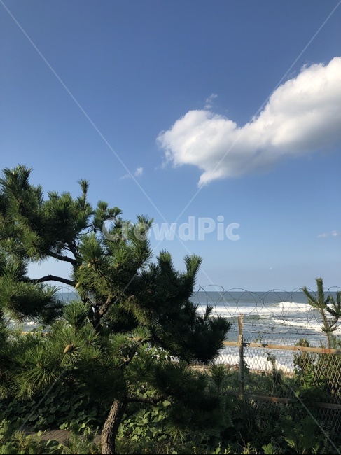 하늘,바다,파란하늘,구름,구름바다,정동지,바닷가,해수욕장,여름하늘,여름바다